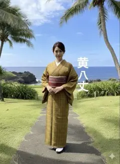☘️早い者勝ち☘️【国宝品】○国指定重要無形文化財○【久米島紬