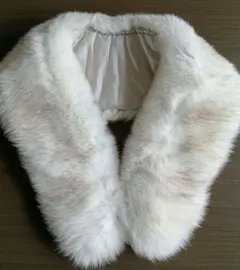 サガフォクス・ファー・ショール