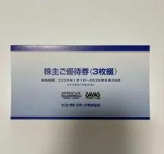 株主ご優待券 3枚 セントラルスポーツ