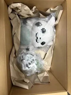 はじまりのピカチュウ