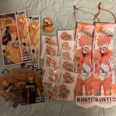 ハイキュー　日向翔陽20点セット