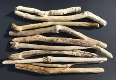 Item thumbnail for item 076325b5-1874-41cc-bbe6-fa7f85604e23