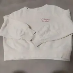 Item thumbnail for item 91355dd8-2f95-4b49-8e84-7bafa5b757cb