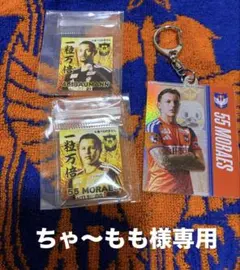 アルビレックス新潟 マテウスモラエス 상품