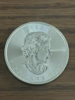 2025年最新】メイプルリーフ銀貨の人気アイテム - メルカリ