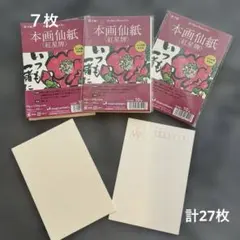 絵手紙 マルマン 画仙紙 27枚