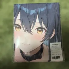 バスタオル タペストリー 萌タオル アニメ アニメキャラ ブ - メルカリ