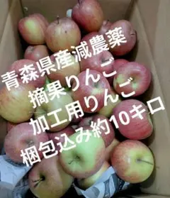 青森県産 減農薬 摘果りんご 加工用りんご 梱包込み 約10キロのサムネイル