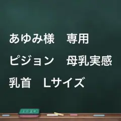 ピジョン　母乳実感　乳首　Lサイズ　4個