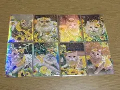 猫カフェmocha 新宿店　トレーディングカード　8枚セット