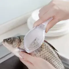 Item thumbnail for item ffdb7520-7c5e-4bd5-ad49-f33d19a91962