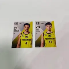 Item thumbnail for item 485c7e4a-ef4c-4404-96c1-40397edc6b0c