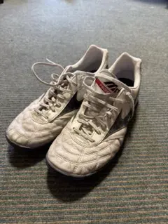 モレリア トレーニングシューズ 27.5cm