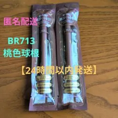 新品 マジョリカ マジョルカ ラインエキスパンダー 桃色球根 BR713×2本のサムネイル