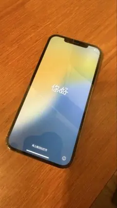Apple iPhone 12 Pro max 128GB グラファイト