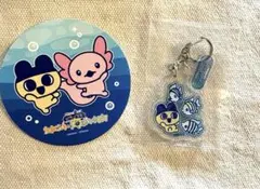 新江ノ島水族館 えのすい たまごっち アクリルキーホルダー めんだ