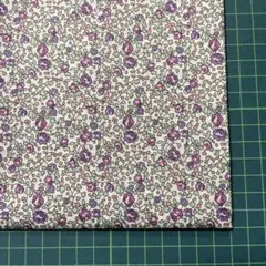 T120 Eloise エロイーズ 108×33cmリバティ タナローン 29g