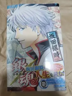 銀魂　キャラクターリミックス　坂田銀時　空知英秋