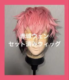 にじさんじ 赤城ウェン コスプレ 衣装 ウィッグ - メルカリ