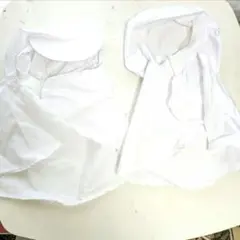 Item thumbnail for item a368b808-0943-4253-8da5-39ab1e56fe9f