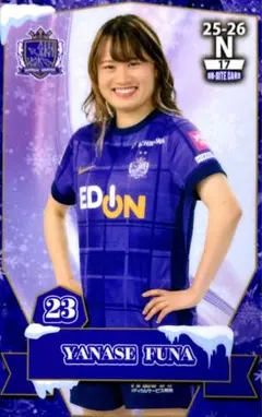 2026年最新】サンフレッチェ広島レジーナオンサイトカードの人気