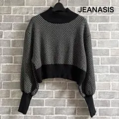 JEANASIS ジーナシス モックネック ニットプルオーバー クロップド丈