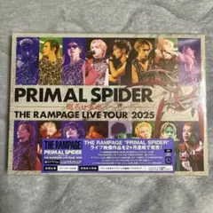 PRIMAL SPIDER と p(R)jectR DVDセット