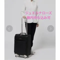 galaxy 本革 オットマン ノルウェー 北欧 美品 2025年製 エコーネス