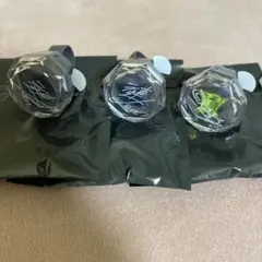 リングライト 漣ジュン 巴日和