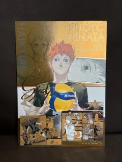 ハイキュー!! 箔押しイラストカードコレクション 日向翔陽