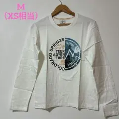 Item thumbnail for item 44f26889-3a85-43fd-98fb-3c6c011bfa3f