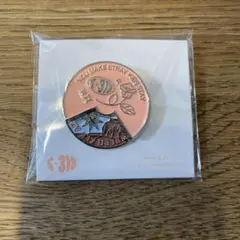 StrayKids Japan シーグリ　2023 ピンバッチ　s-318