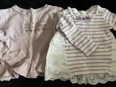 秋の季節デザイン トップス 2点セット