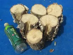 Item thumbnail for item 11502531-ce63-47c2-9ee5-f6dc9a55d363