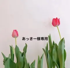 あっきー様専用品