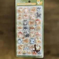 【匿名配送】クーリア　柴犬　ポンポンドロップシール（未開封美品）
