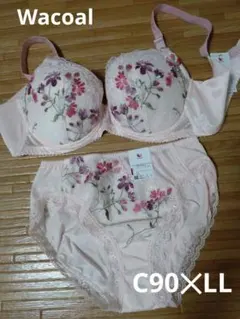 Wacoal ★ ワコール C90 リボンブラ セットアップ  ①PI