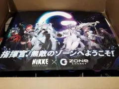 勝利の女神 nikke zone