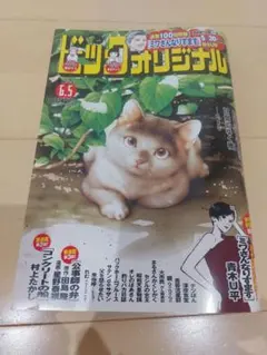 Item thumbnail for item 807c551f-deba-4f4d-aaeb-be62da6db99a