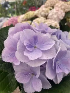 itk.様 リクエスト 2点 まとめ商品