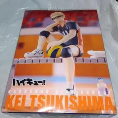 ハイキュー!! 月島蛍 ぬーどるストッパーフィギュア