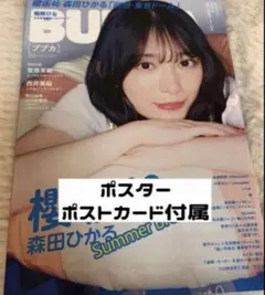 Item thumbnail for item 01c4cb13-10a3-4e45-bfe4-4e54306d6e67