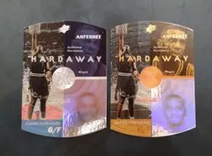 spx anfernee hardaway ノーマルとブロンズ2枚