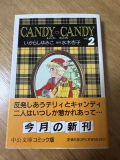 キャンディキャンディ　黒文字統一　全巻セット　並上　いがらしゆみこ　水木杏子 キャンディキャンディ 黒文字統一 未巻ジャンクセット いがらしゆみこ