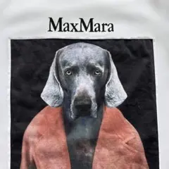 MaxMara 半袖 Tシャツ ドッグプリント ピンクのサムネイル
