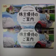 日本駐車場開発の株主優待券（1000株分）2冊