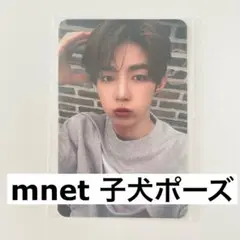 ゼベワン　トレカ　子犬　犬の耳　mnet