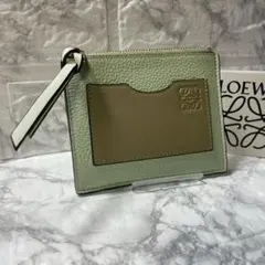 【美品】LOEWE フラグメントケース ミントグリーン　2024春限定デザイン