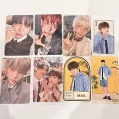 &TEAM HARUAセット