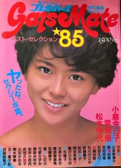 週刊プレイボーイ特別編集 ギャルズ・メイト81 週刊誌 昭和 L10 週刊プレイボーイ特別編集 ギャルズ・メイト81 週刊誌 昭和 L10 - メルカリ